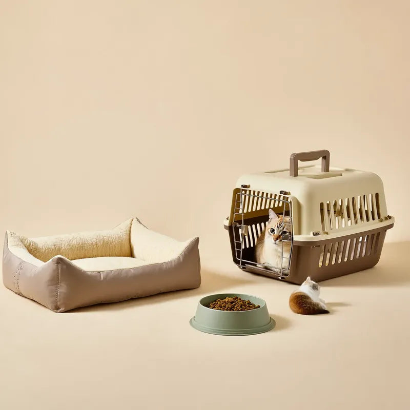 Quels sont les accessoires indispensables pour un chat ?