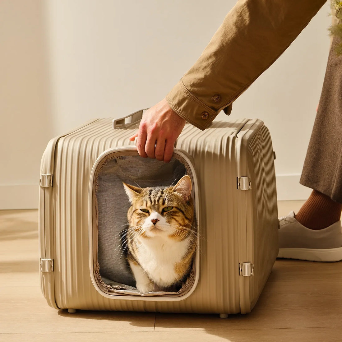 Comment mettre un chat dans un sac de transport 
