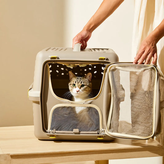 Quel est le mieux pour transporter un chat 