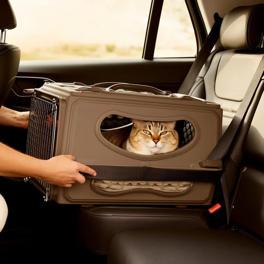 Comment transporter un chat pour un long trajet ?