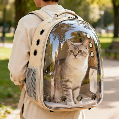 Sac à dos chat transparent