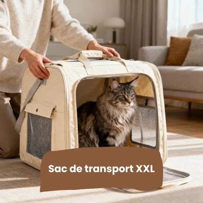Sac de transport pour chat XXL