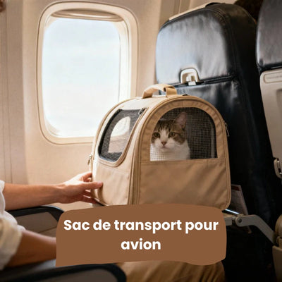 Sac de transport chat XXL