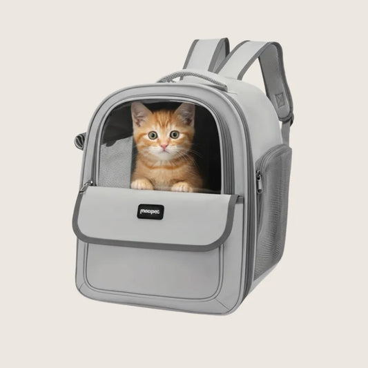 Sac à dos pour chat ClearView