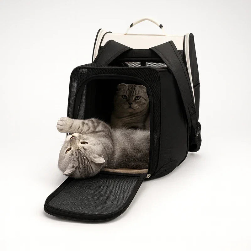 Sac à dos chat AeroView