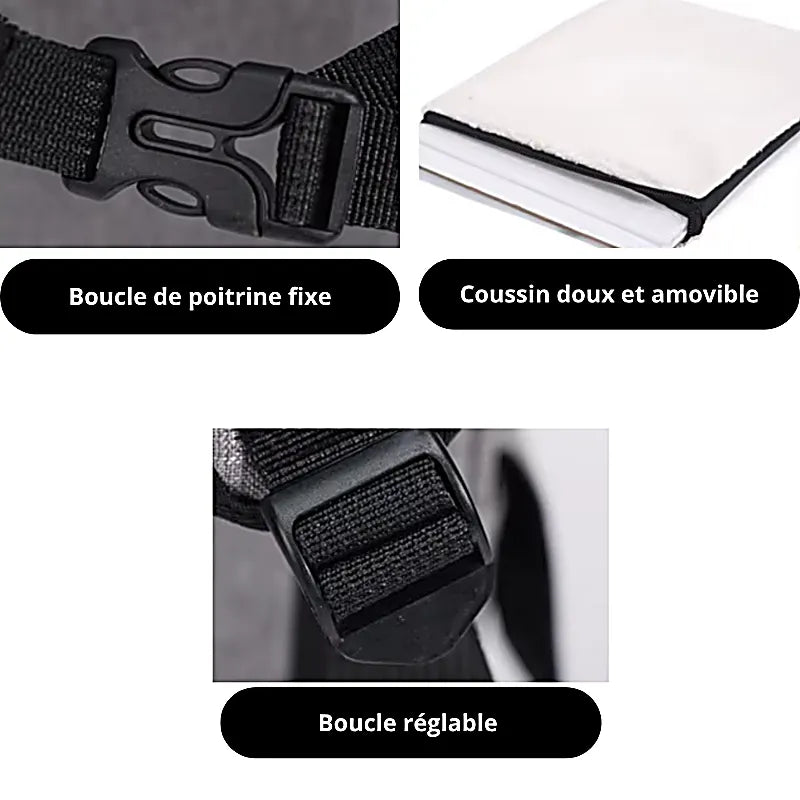 Sac à dos chat GreyTrail