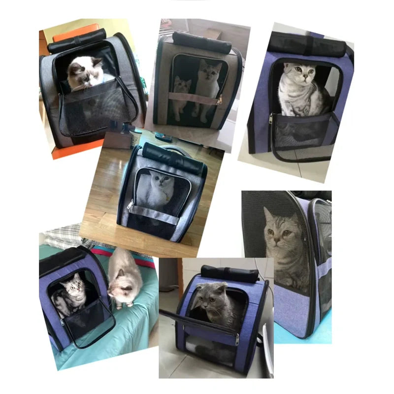 Sac à dos pour chat AirShell