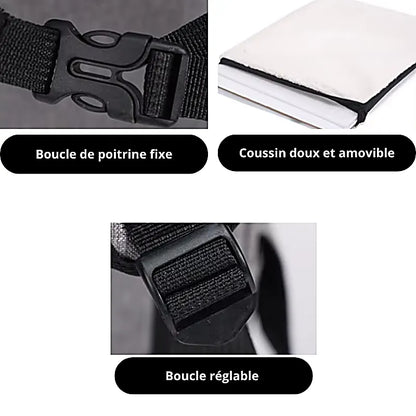 Sac de transport pour chat extensible AirExpand