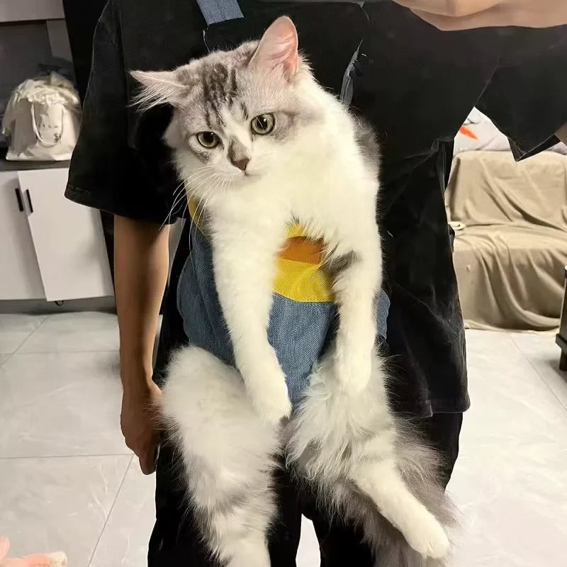 Sac kangourou chat porté par un homme