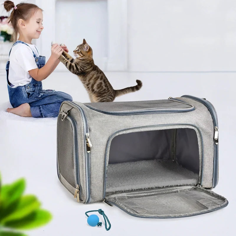 Sac transport chat voiture RoadEase